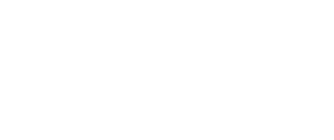 D&V Customs